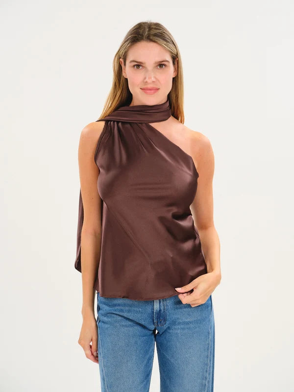Chocolate Scarf Blouse