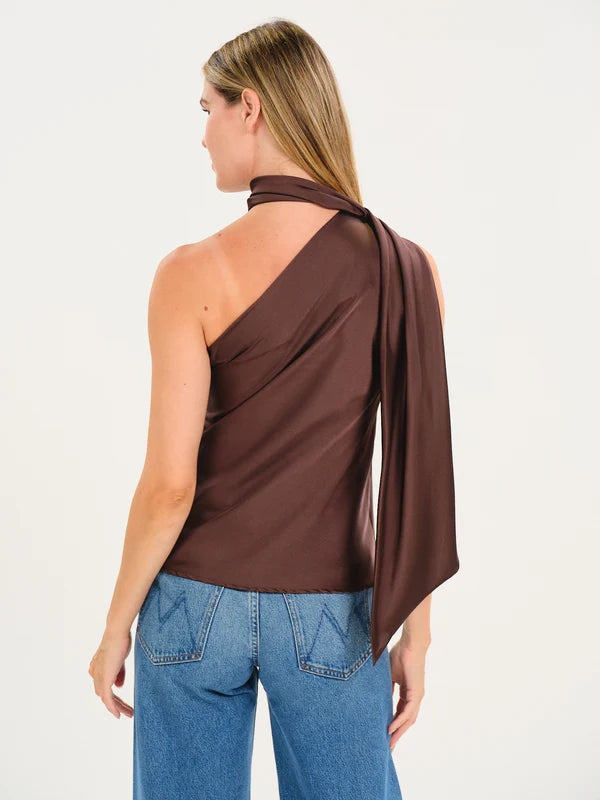 Chocolate Scarf Blouse